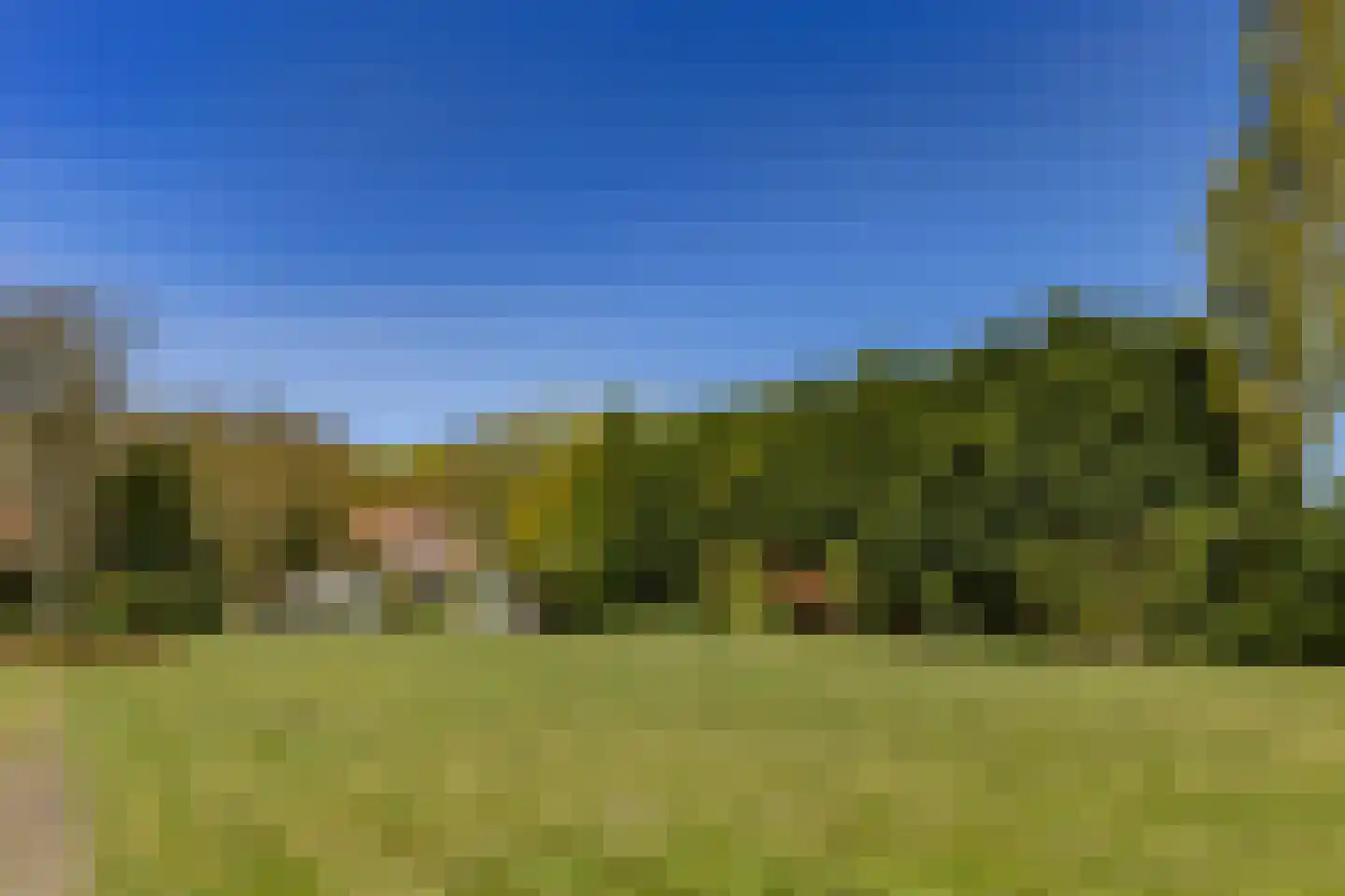 Herenweg 25 S Bergen (NH) thumbnail 18