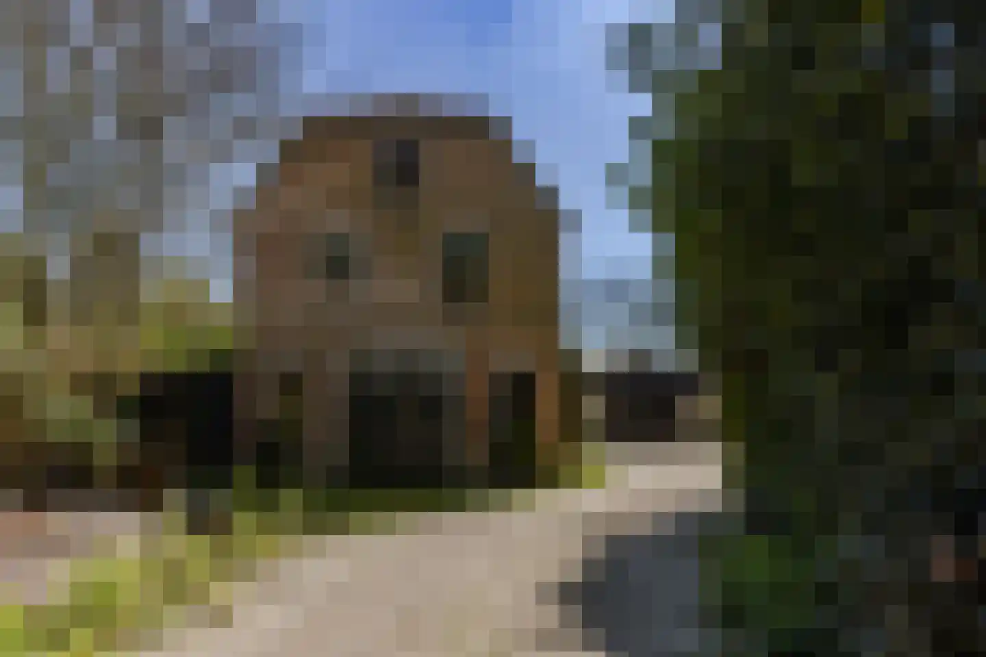 Herenweg 25 S Bergen (NH) thumbnail 4