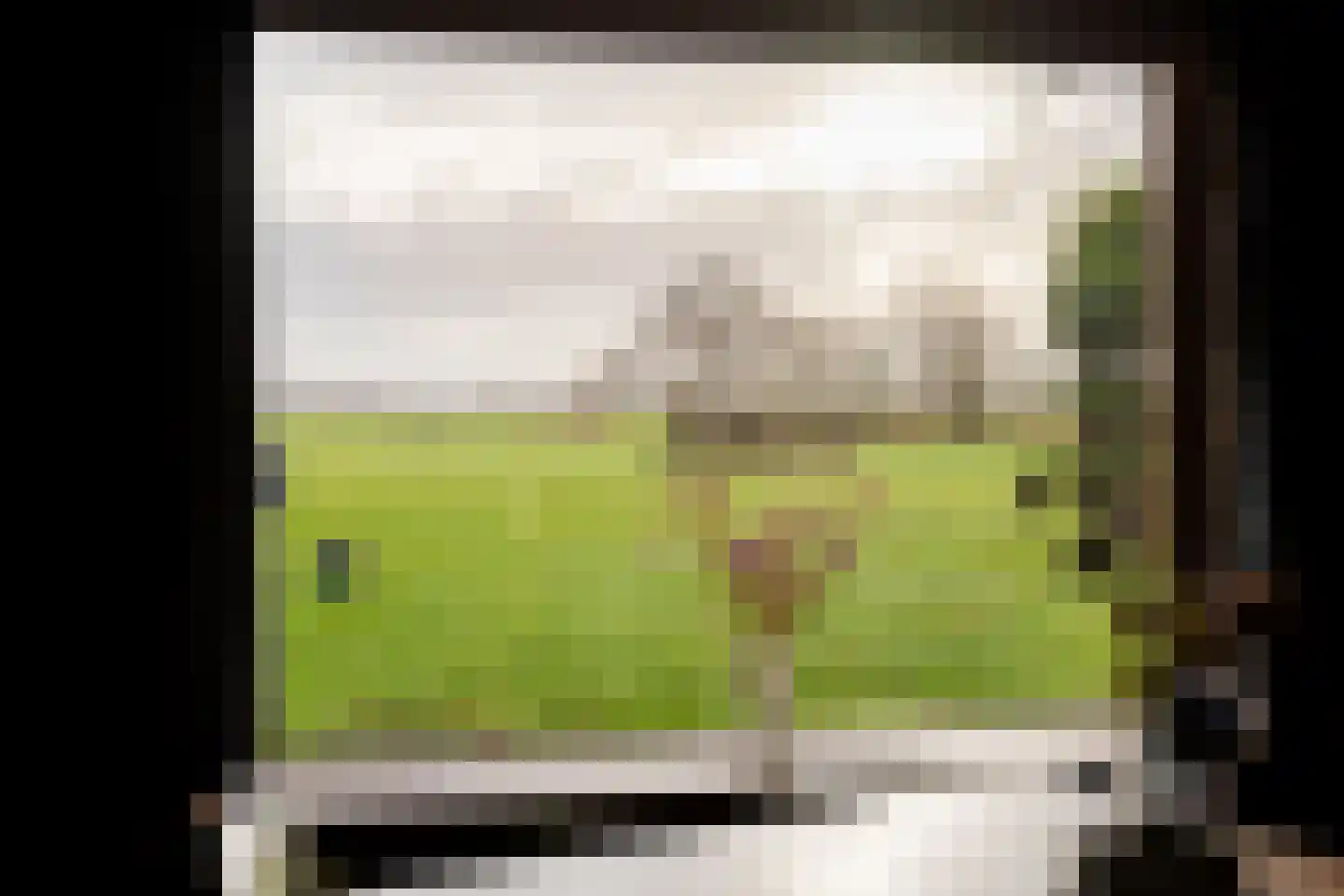 Herenweg 25 S Bergen (NH) thumbnail 9