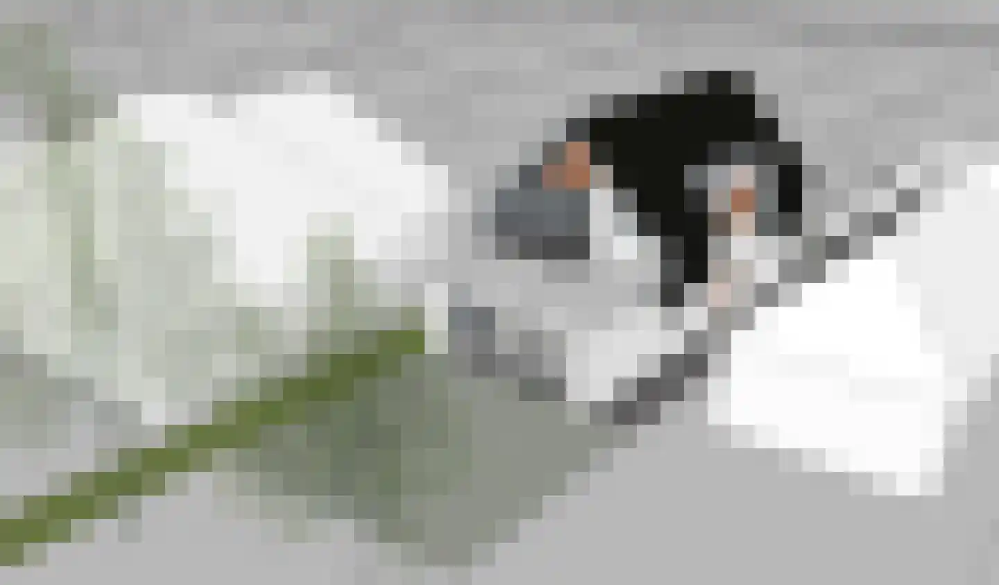 Herenweg 250 Wilnis thumbnail 6