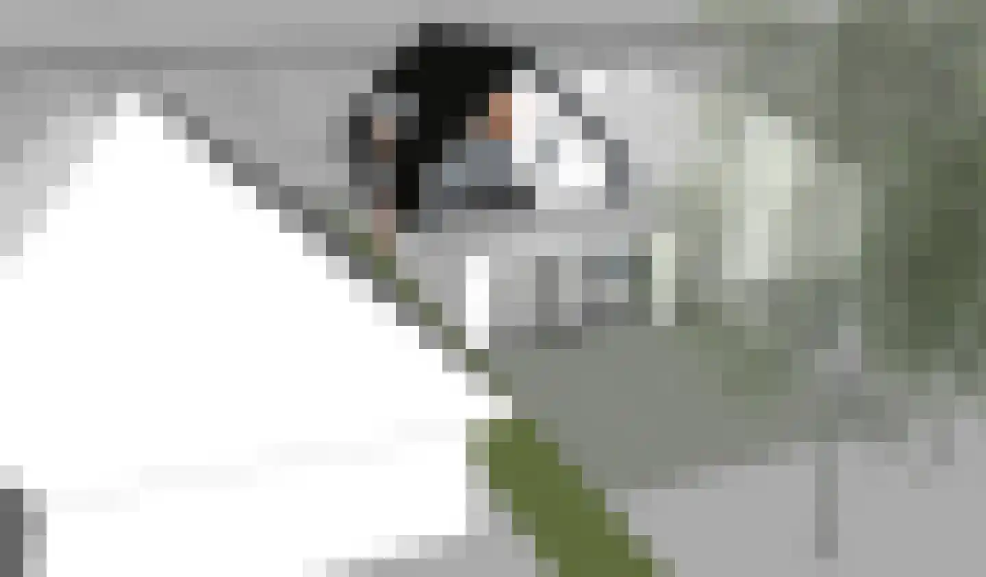 Herenweg 250 Wilnis thumbnail 7