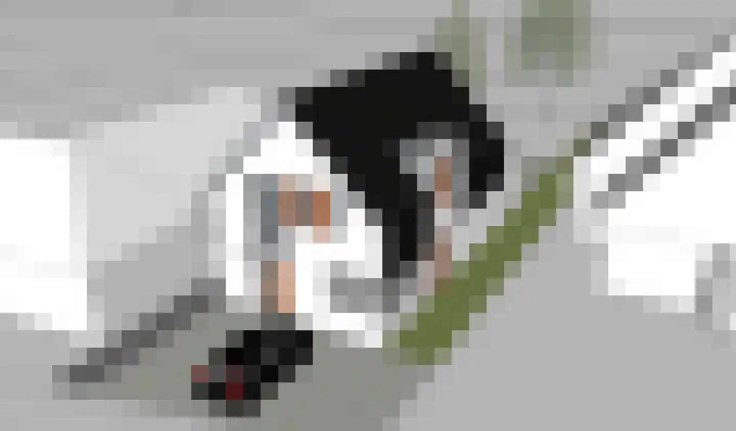 Herenweg 250 Wilnis thumbnail 8