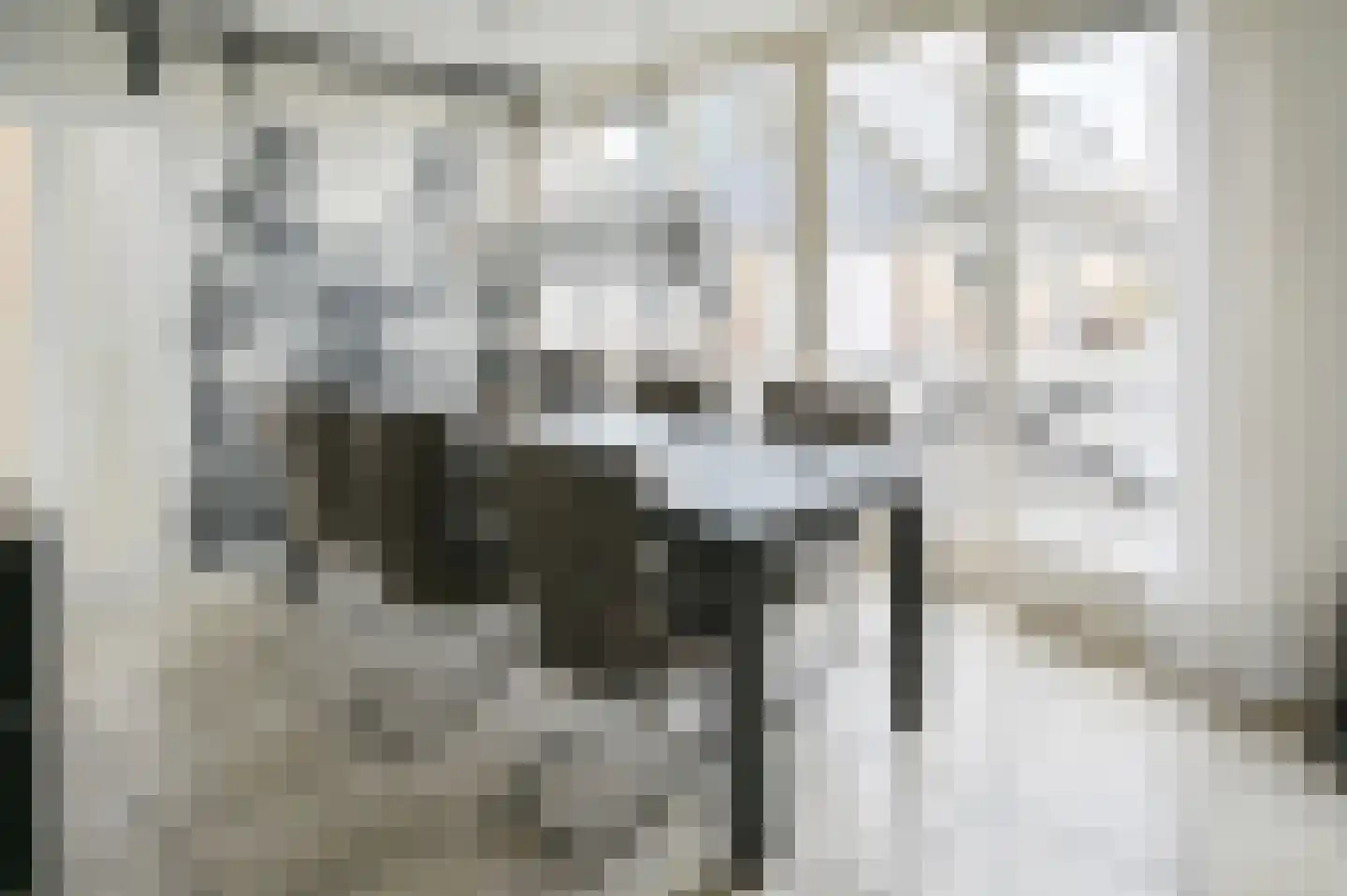 Herenweg 256 Wilnis thumbnail 11