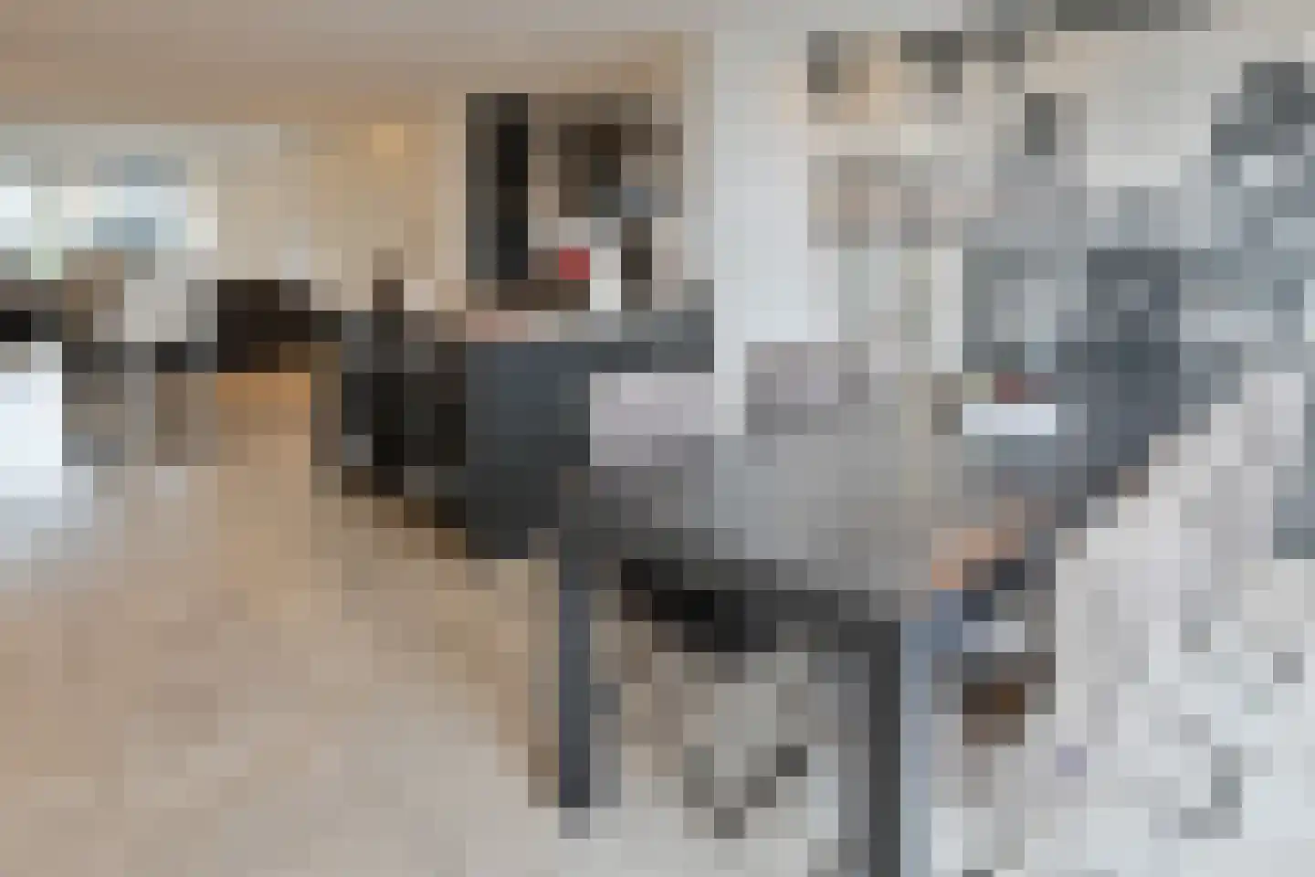 Herenweg 256 Wilnis thumbnail 12