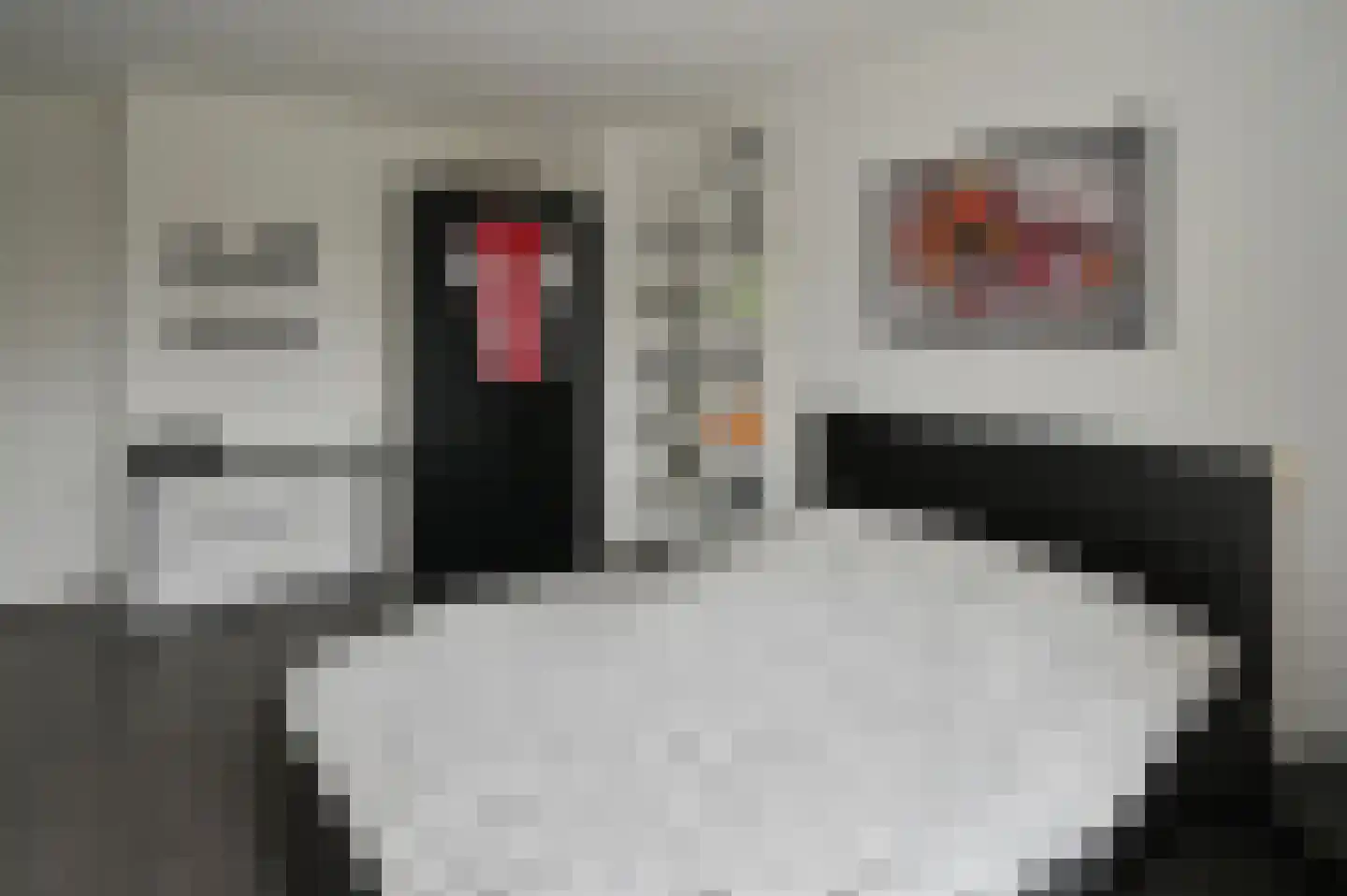Herenweg 256 Wilnis thumbnail 18