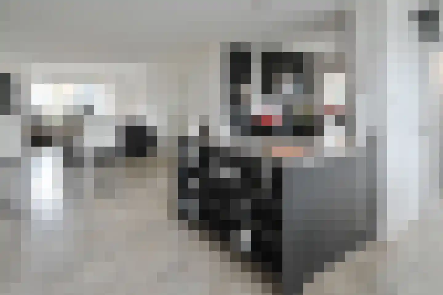Herenweg 256 Wilnis thumbnail 9