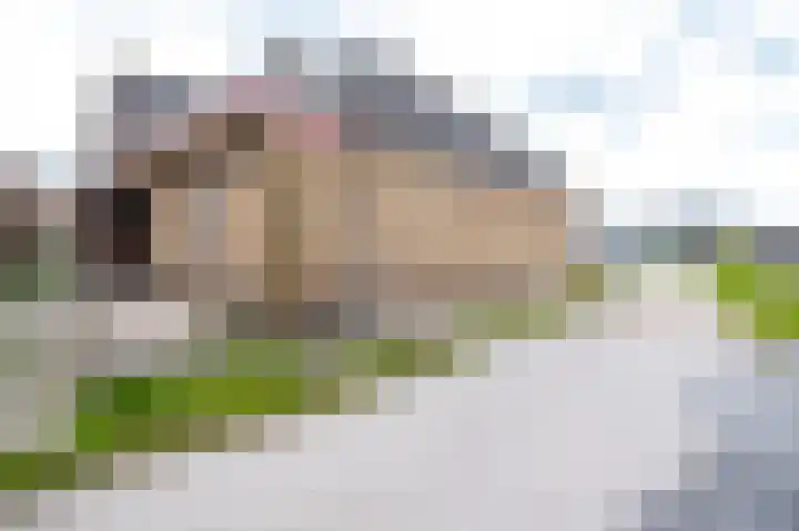 Herenweg 259 Vinkeveen thumbnail 12