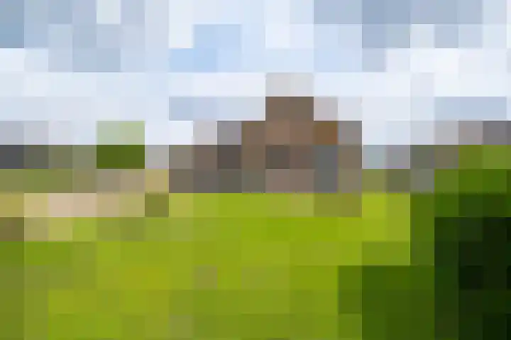 Herenweg 259 Vinkeveen thumbnail 9