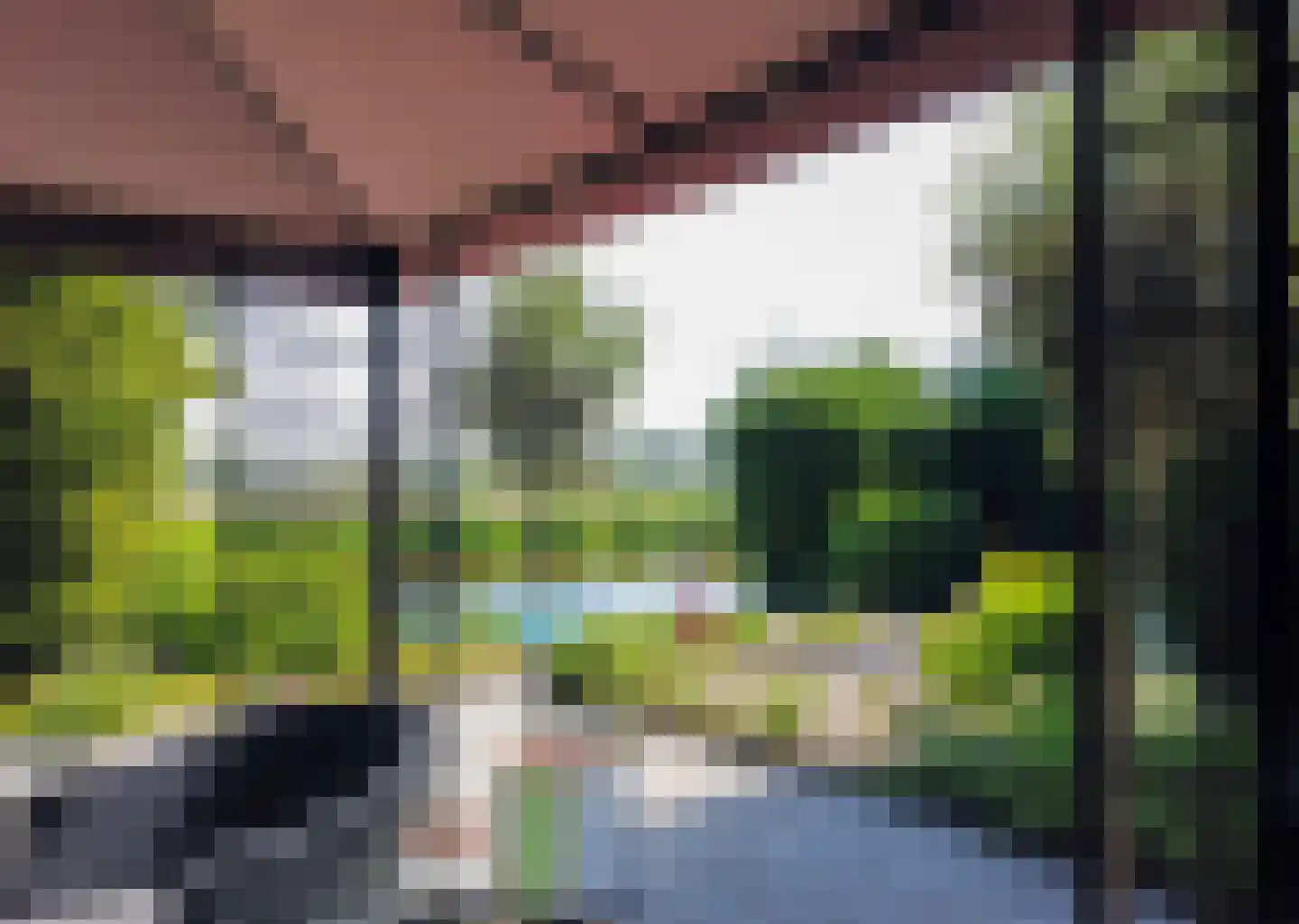 Herenweg 262 Wilnis thumbnail 15