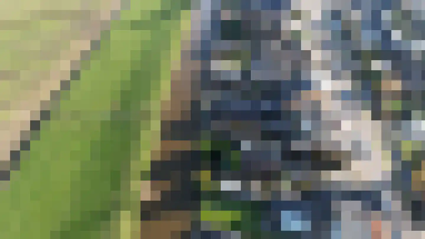 Herenweg 262 Wilnis thumbnail 27