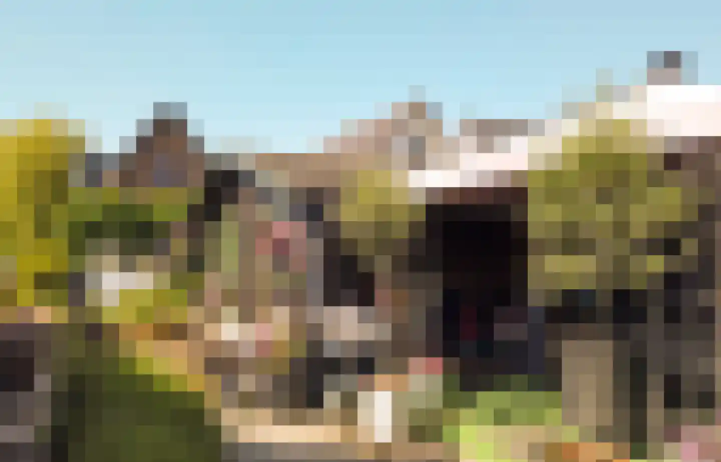 Herenweg 262 Wilnis thumbnail 4