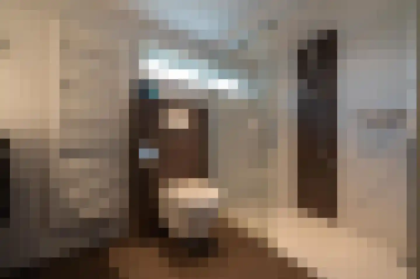 Herenweg 266 Wilnis thumbnail 25