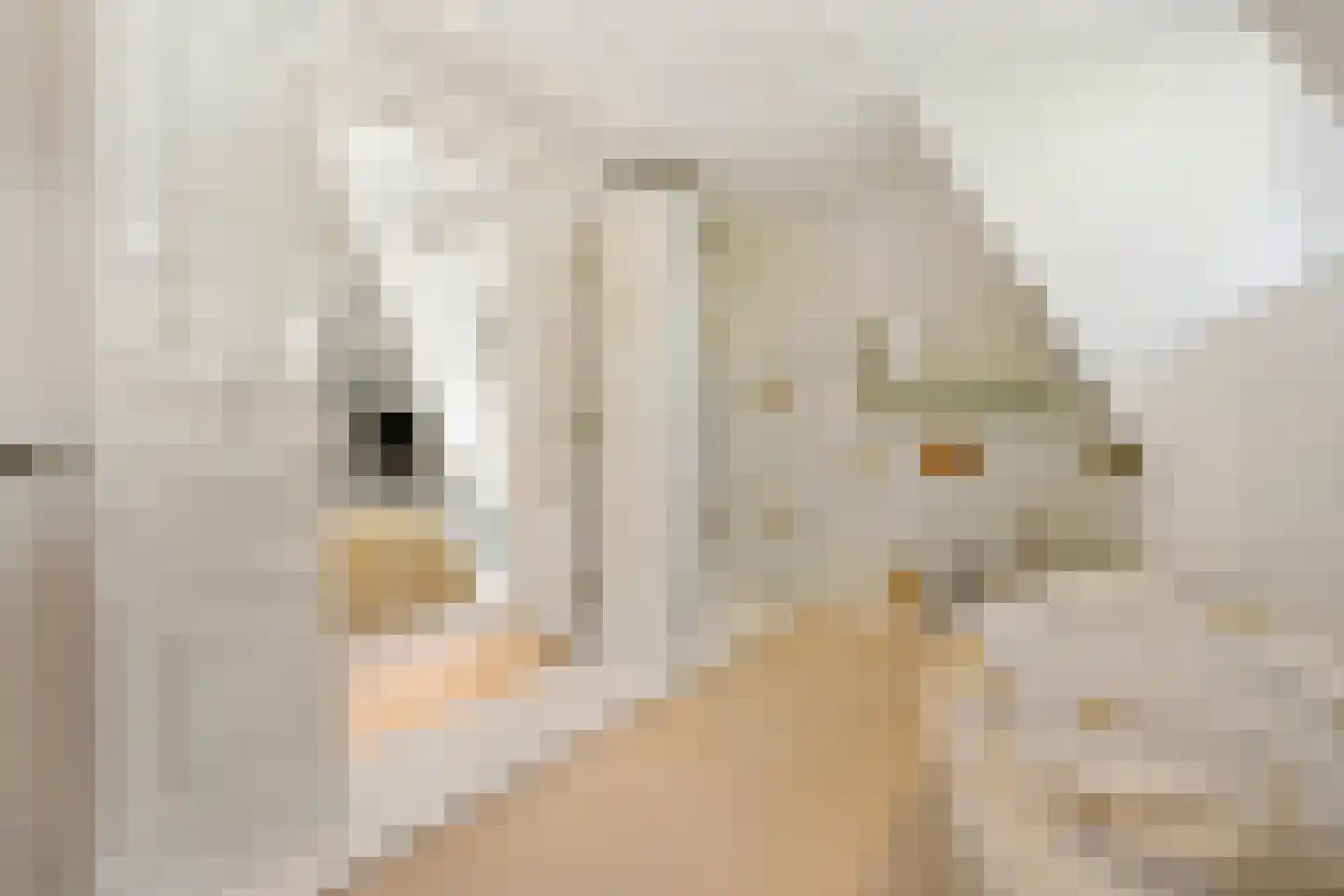 Herenweg 27 Breukeleveen thumbnail 46
