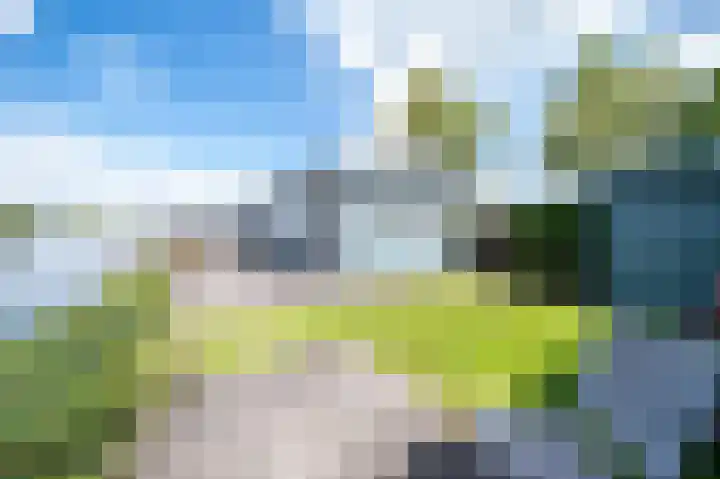 Herenweg 276 B99 Vinkeveen thumbnail 9