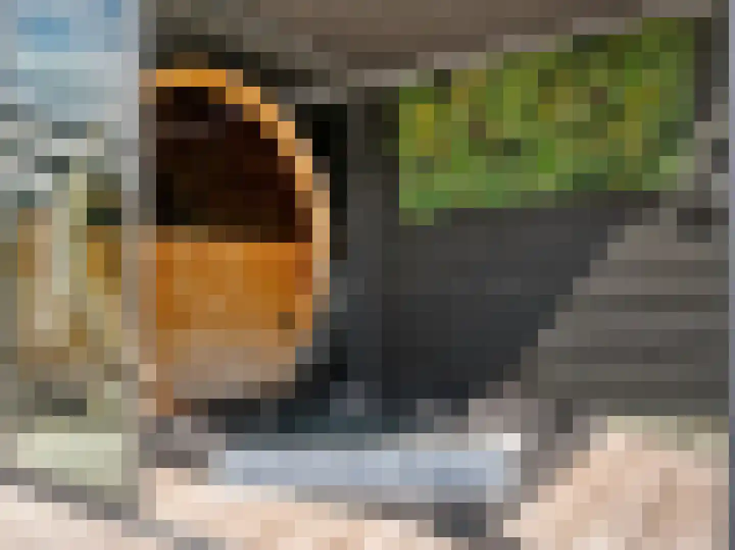 Herenweg 276 Z10 Vinkeveen thumbnail 25
