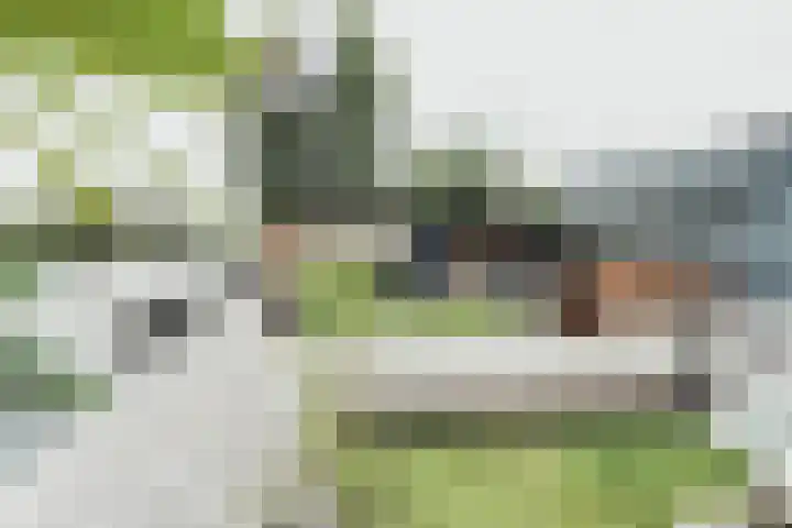 Herenweg 276 Z10A Vinkeveen thumbnail 10