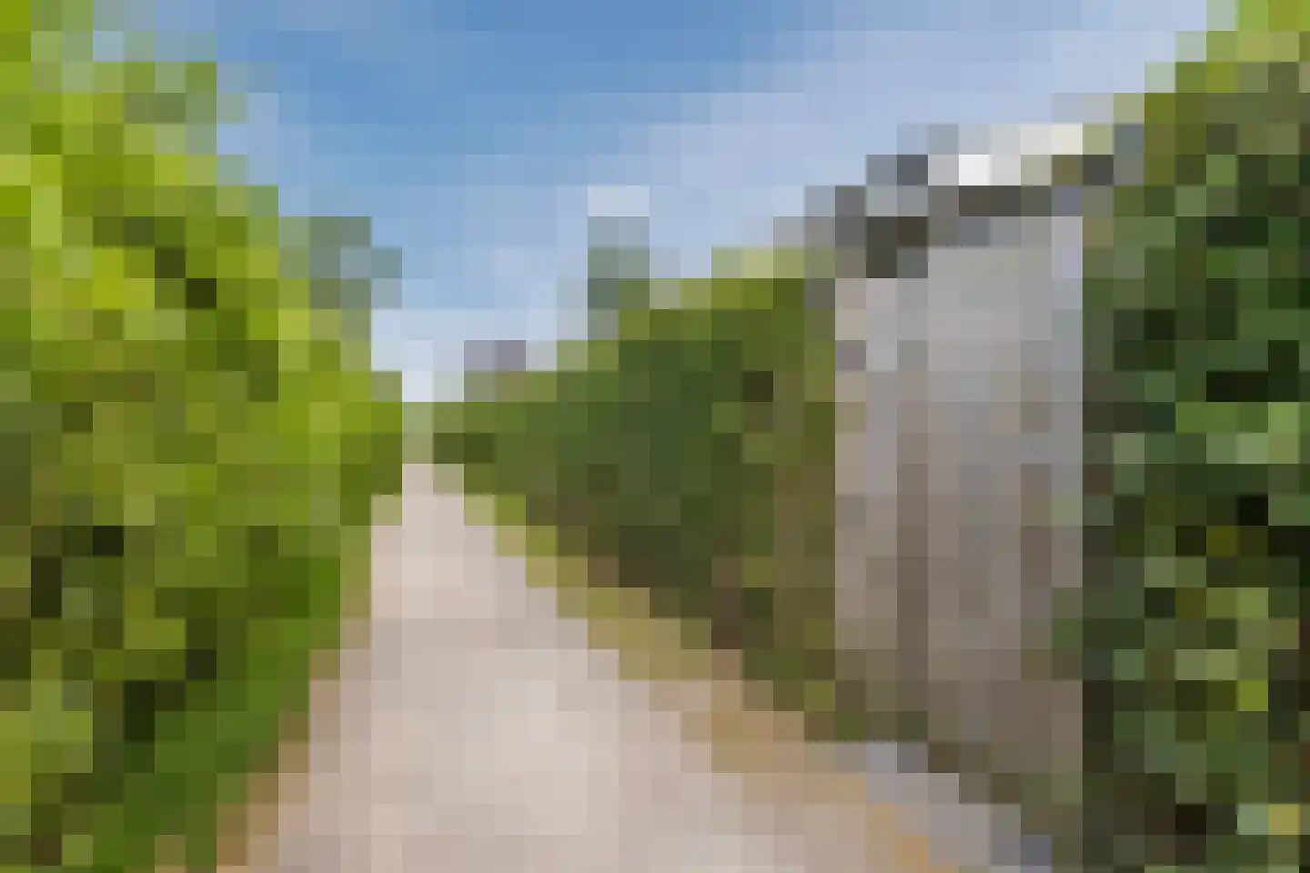 Herenweg 276 Z6 Vinkeveen thumbnail 32