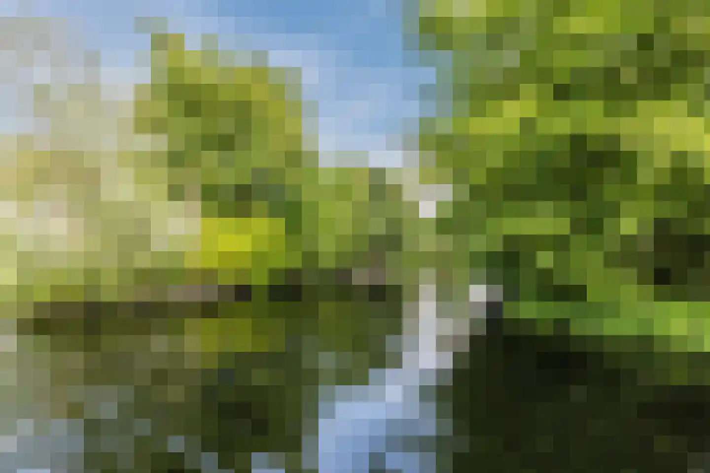 Herenweg 276 Z6 Vinkeveen thumbnail 34