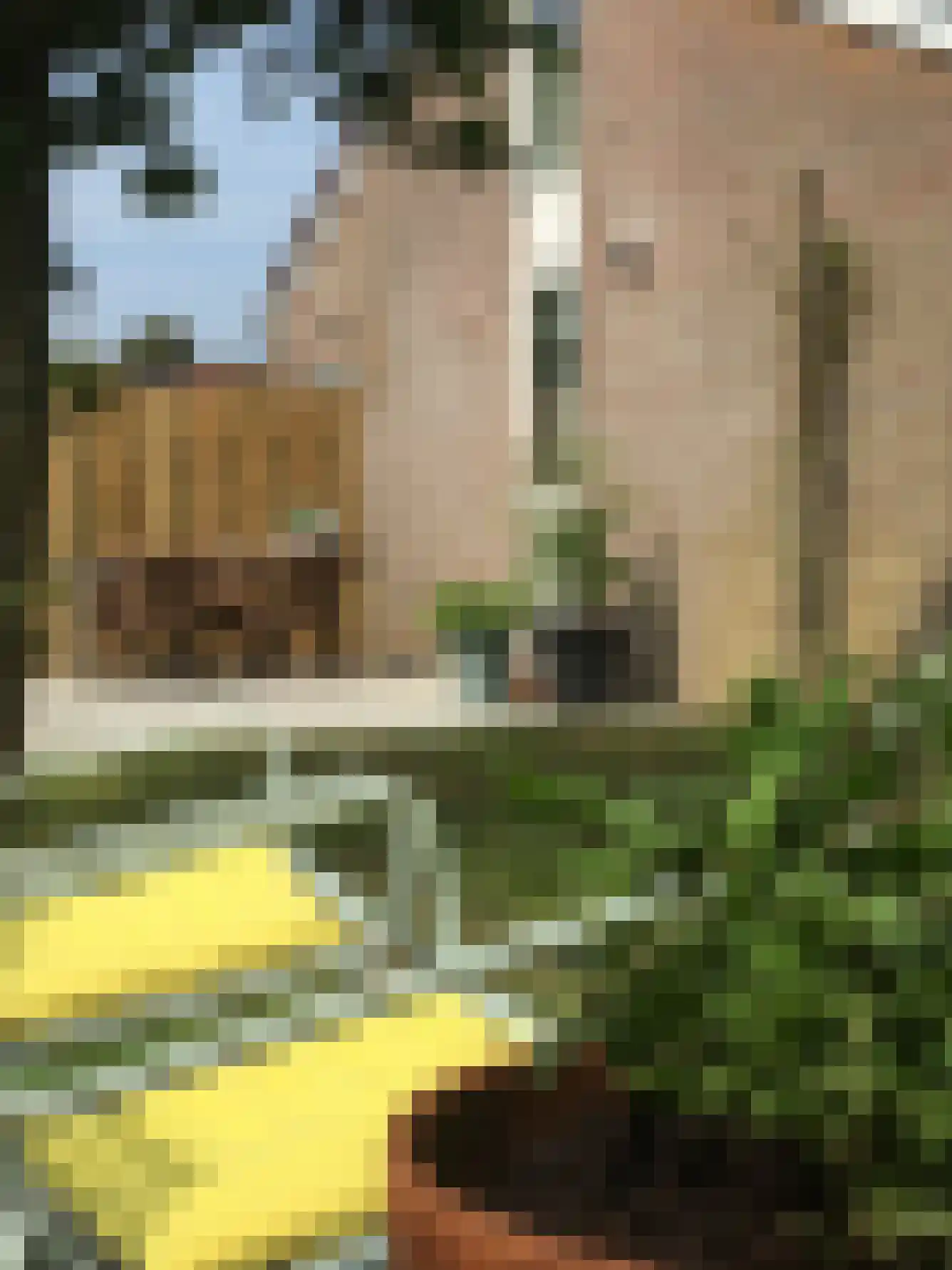 Herenweg 280 43 Egmond aan den Hoef thumbnail 20