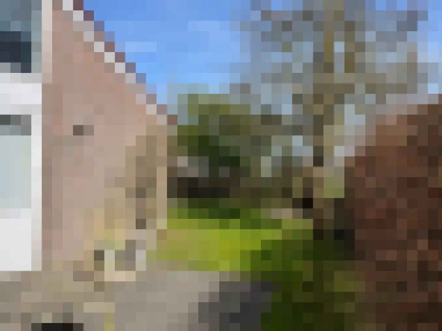 Herenweg 280 43 Egmond aan den Hoef thumbnail 23