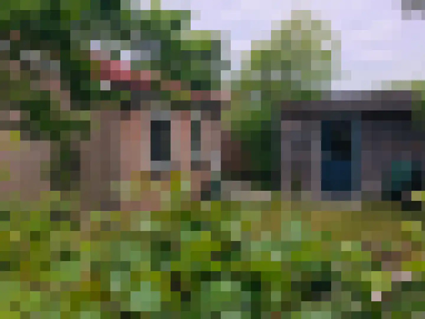 Herenweg 280 43 Egmond aan den Hoef thumbnail 24