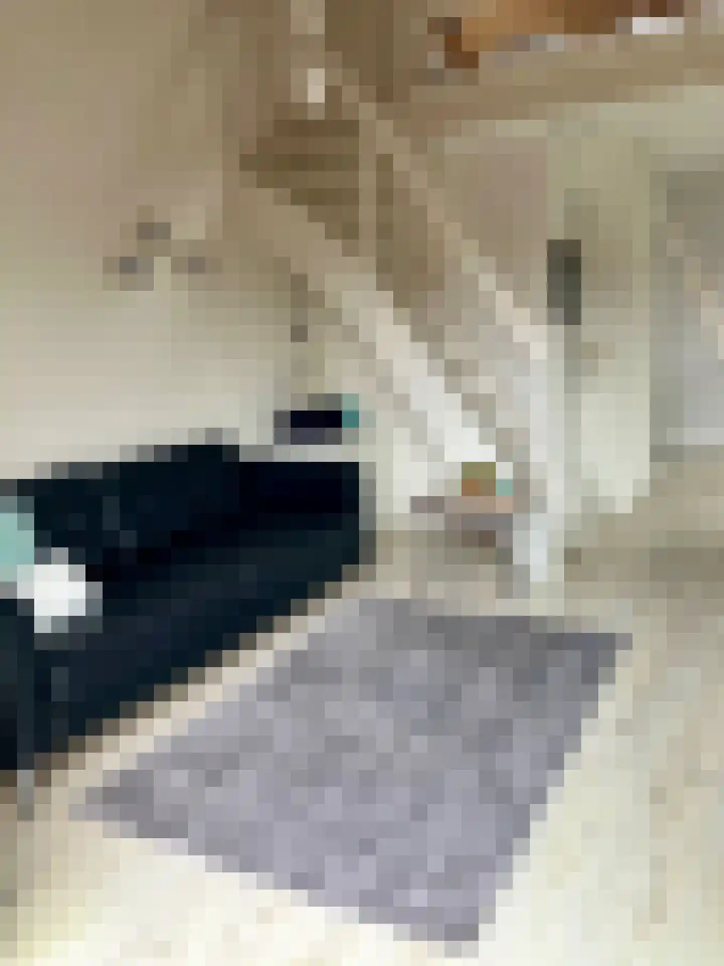 Herenweg 280 43 Egmond aan den Hoef thumbnail 6