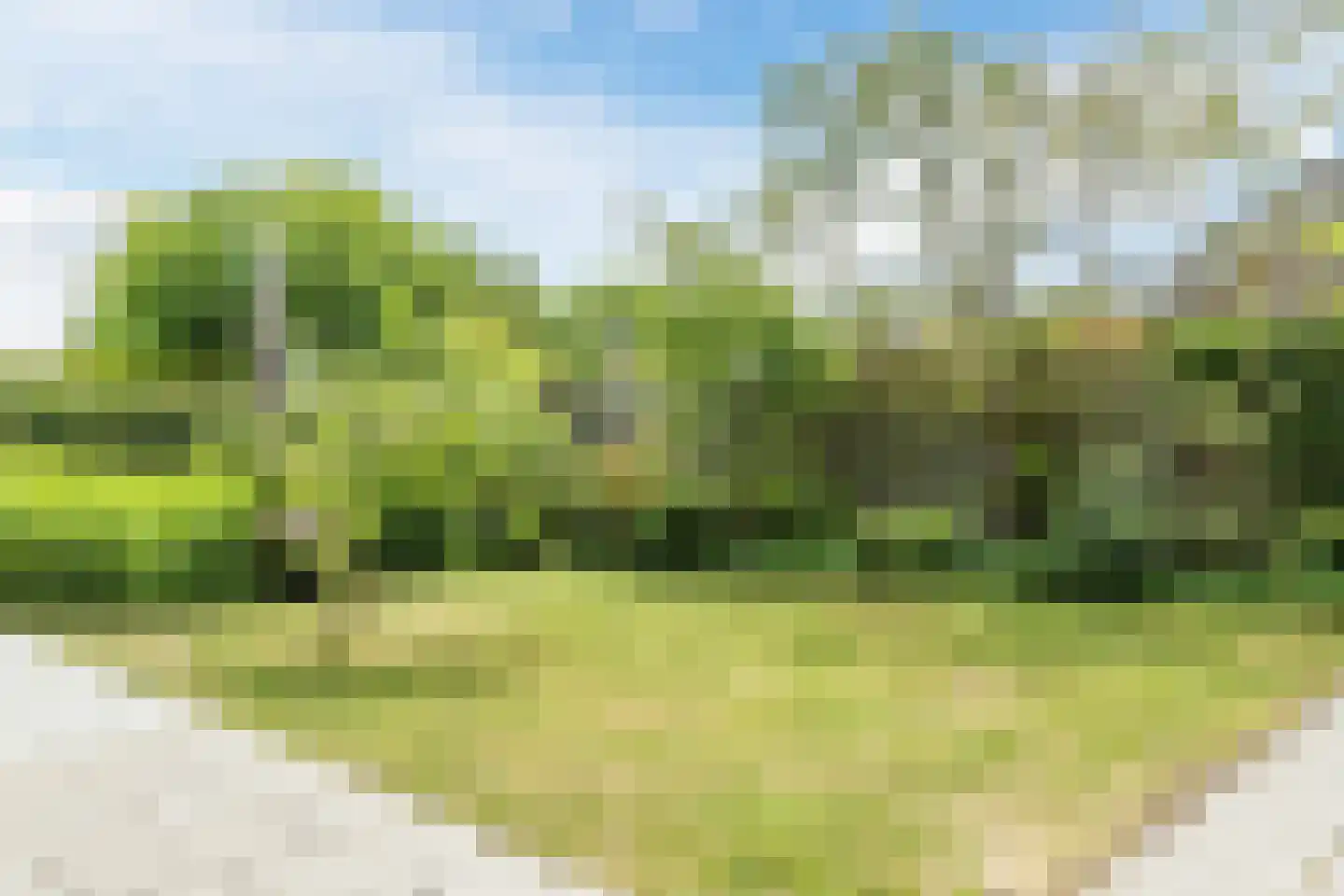 Herenweg 280 54 Egmond aan den Hoef thumbnail 44