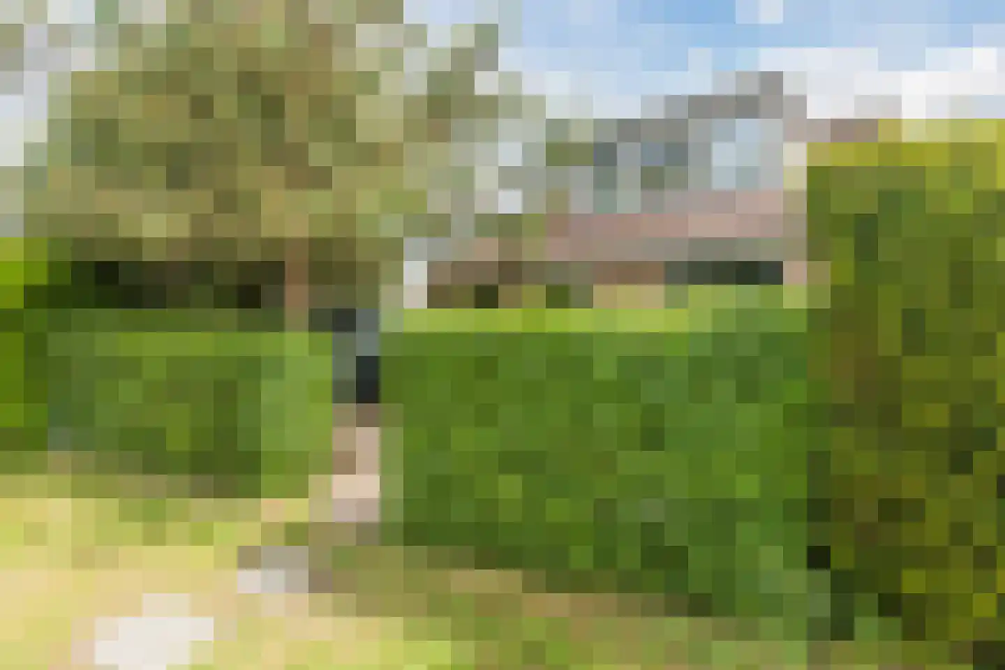 Herenweg 280 54 Egmond aan den Hoef thumbnail 5