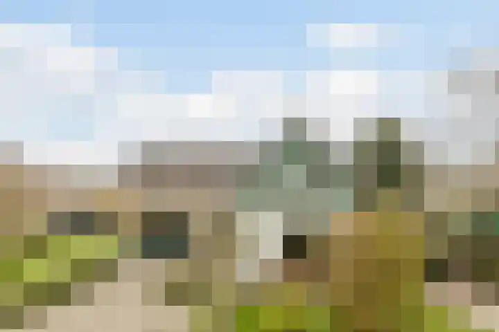 Herenweg 283 Egmond aan den Hoef thumbnail 5