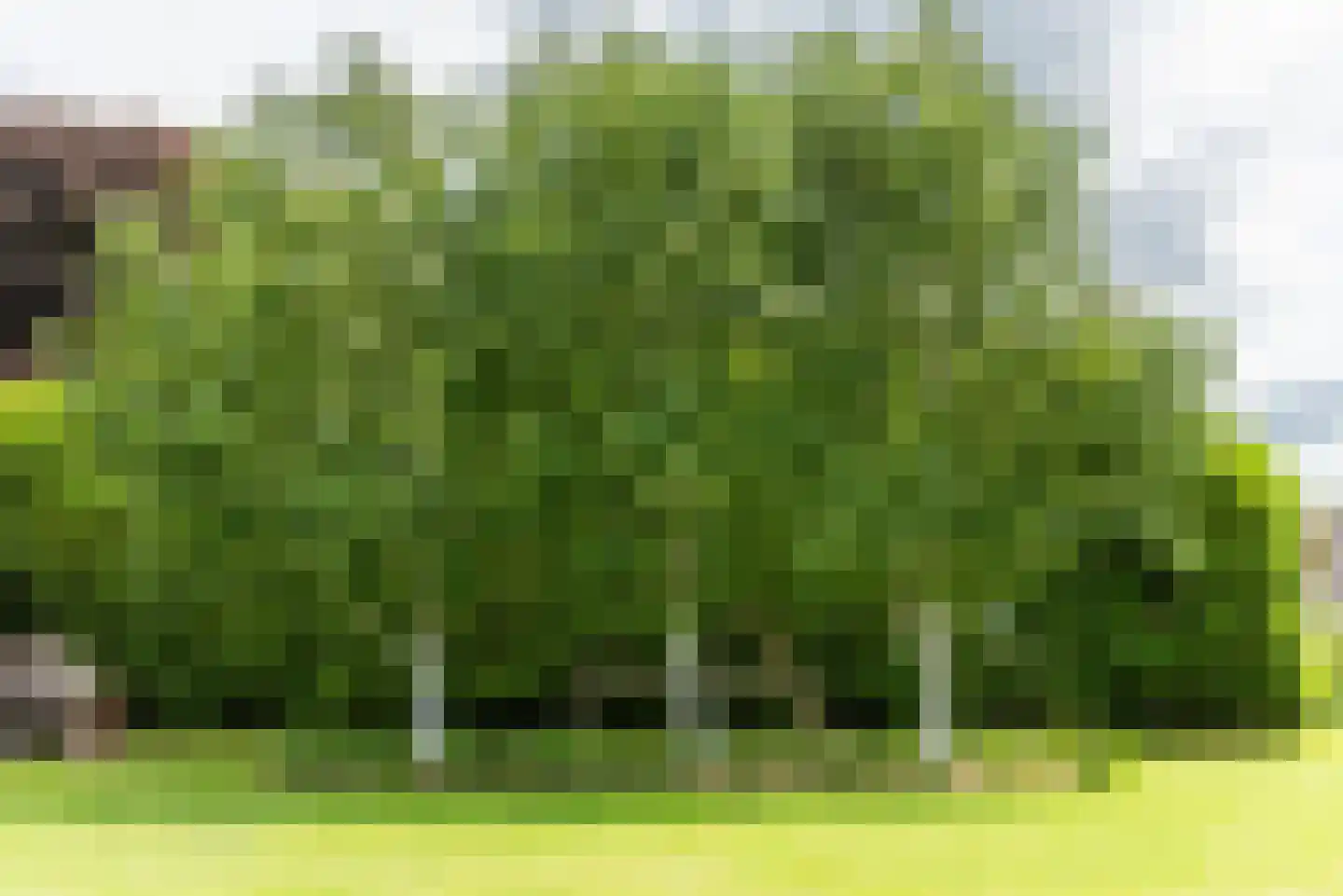 Herenweg 29 Kudelstaart thumbnail 26
