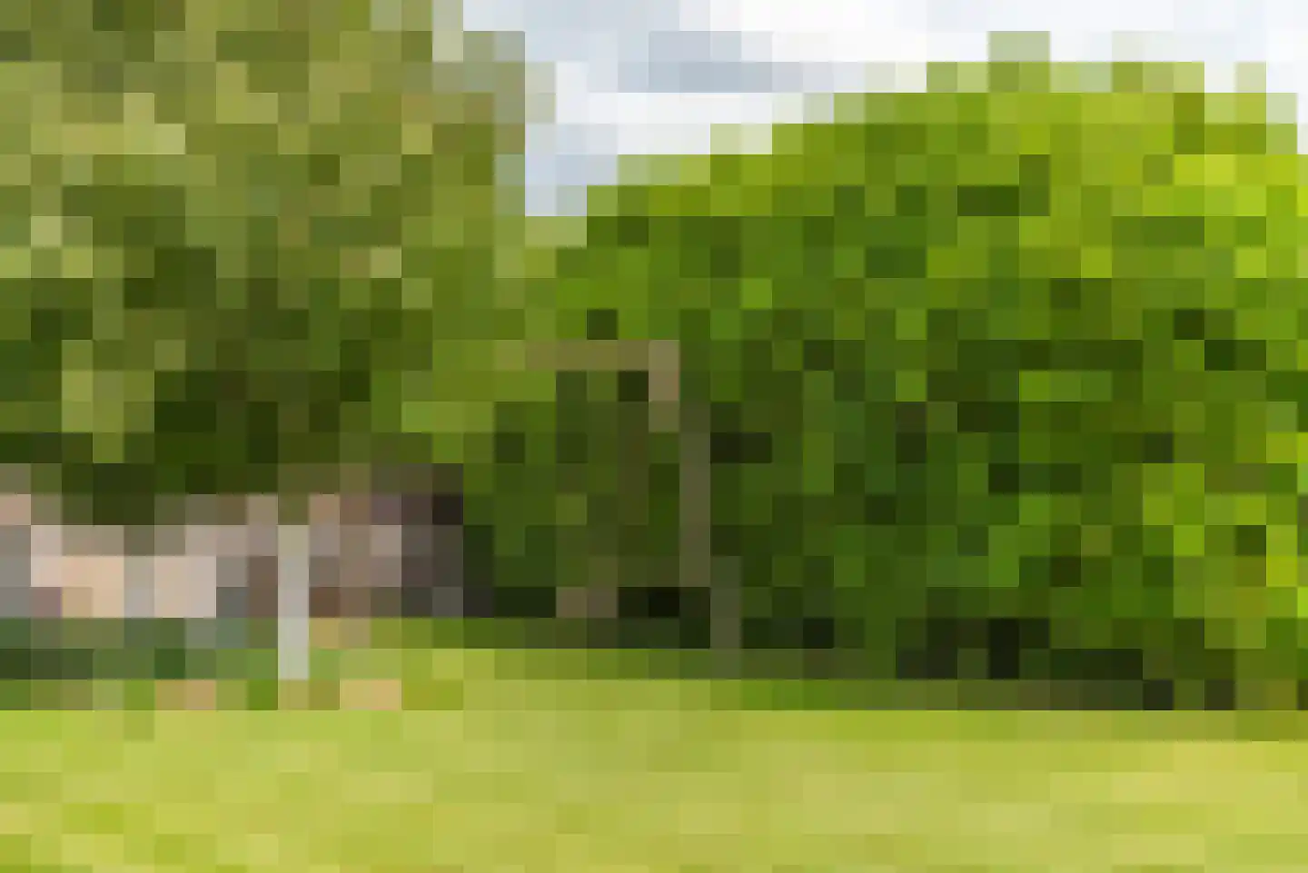 Herenweg 29 Kudelstaart thumbnail 27