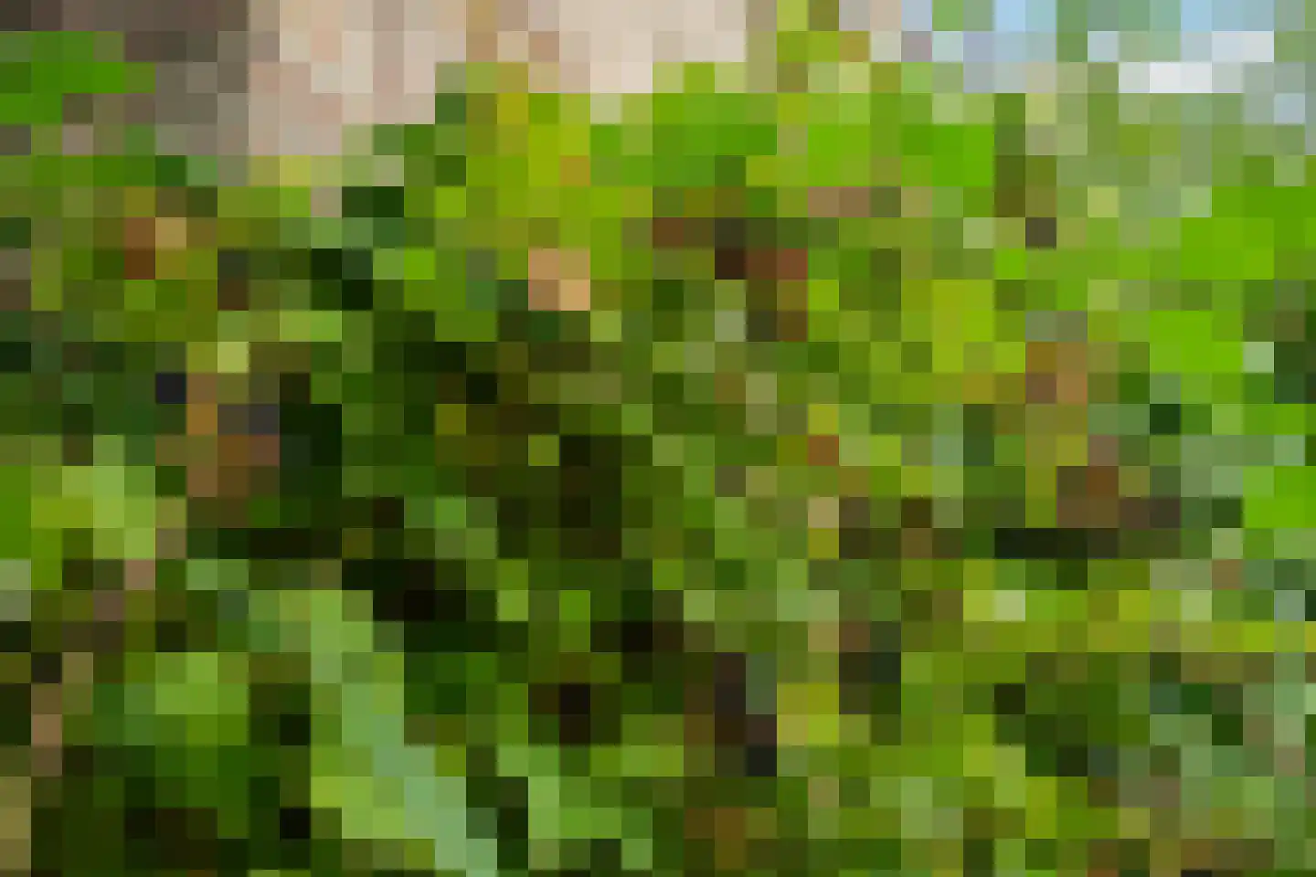 Herenweg 29 Warmond thumbnail 38