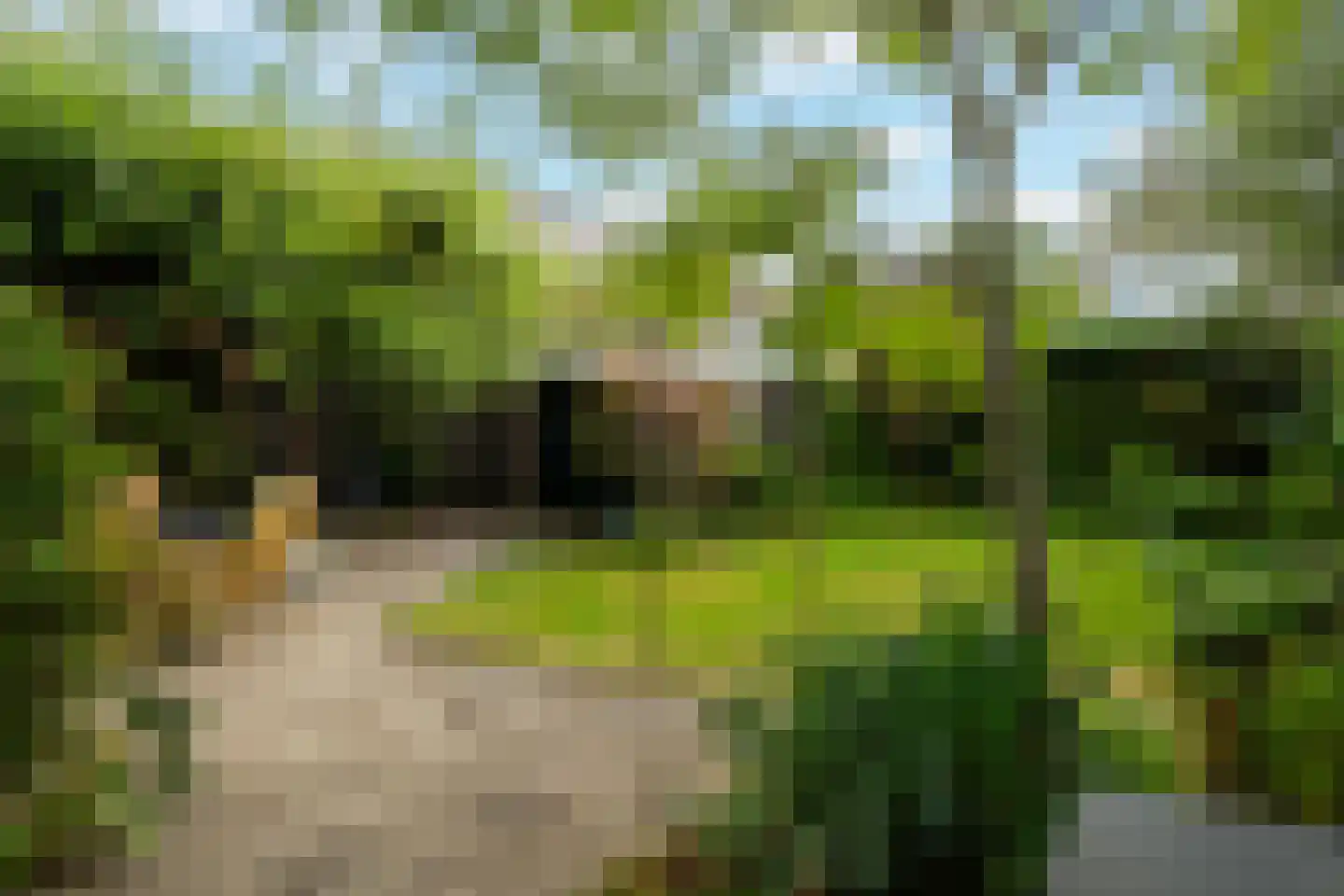 Herenweg 29 Warmond thumbnail 40