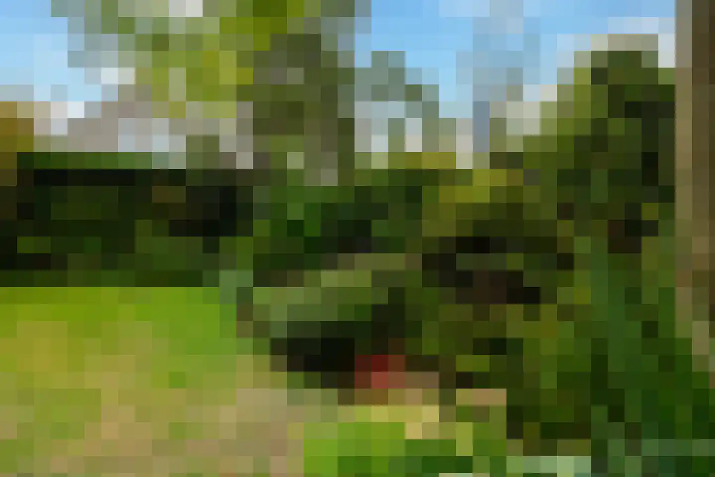 Herenweg 29 Warmond thumbnail 41