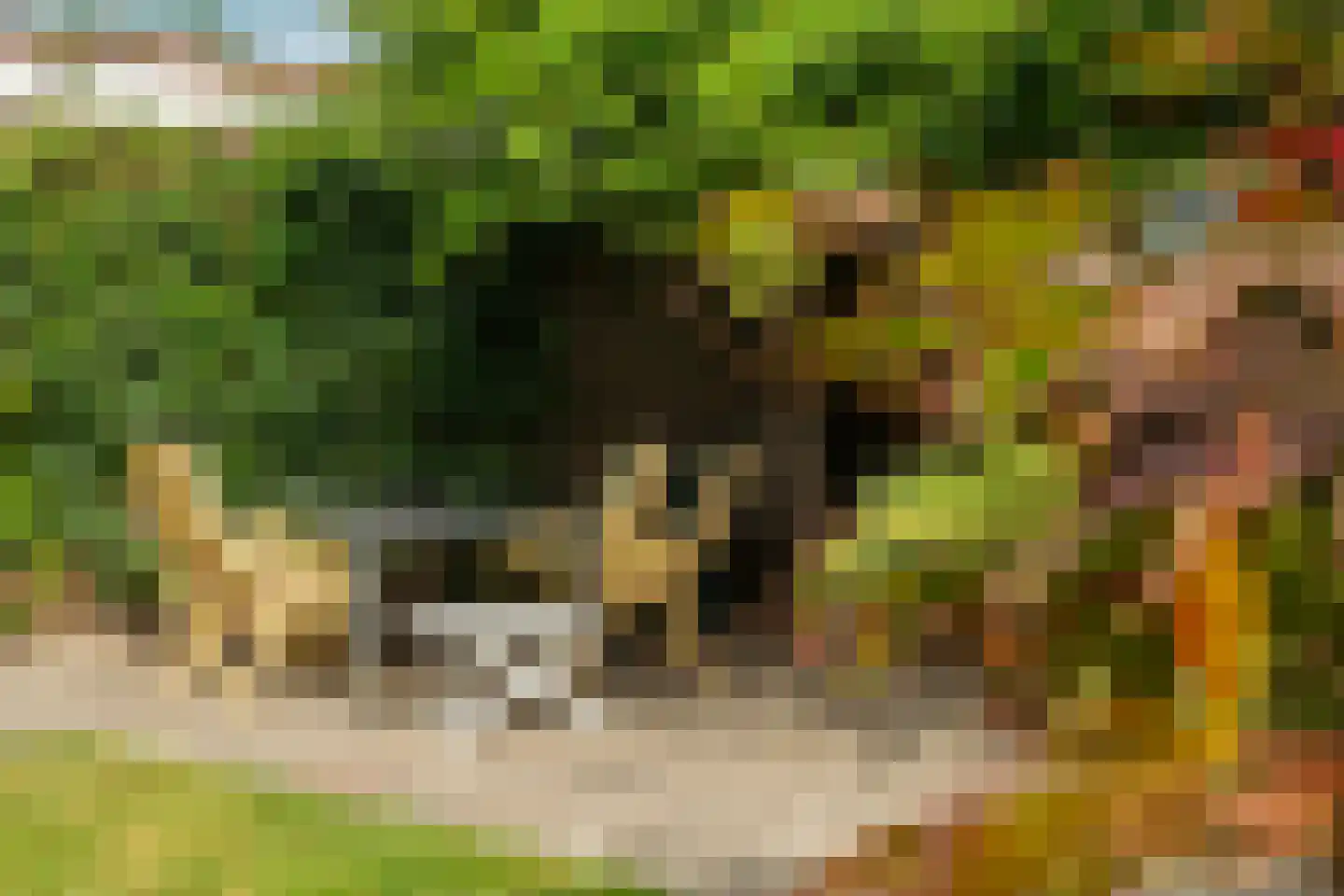 Herenweg 29 Warmond thumbnail 43