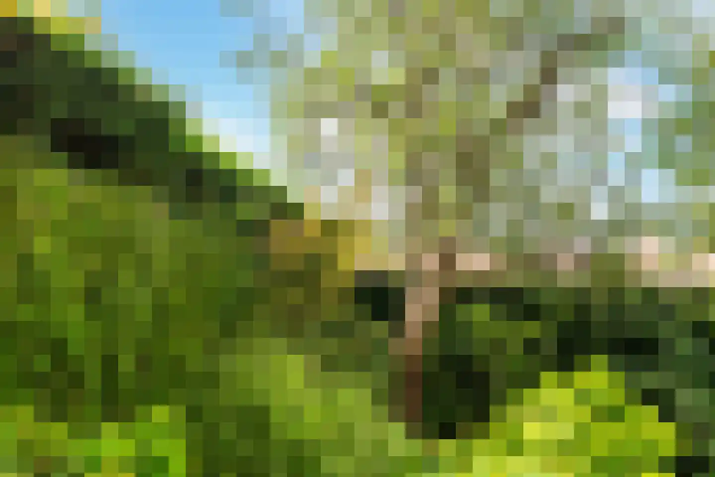 Herenweg 29 Warmond thumbnail 48