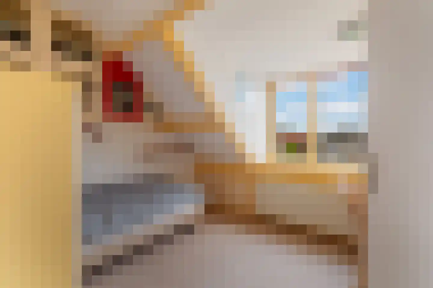 Herenweg 29 Warmond thumbnail 69