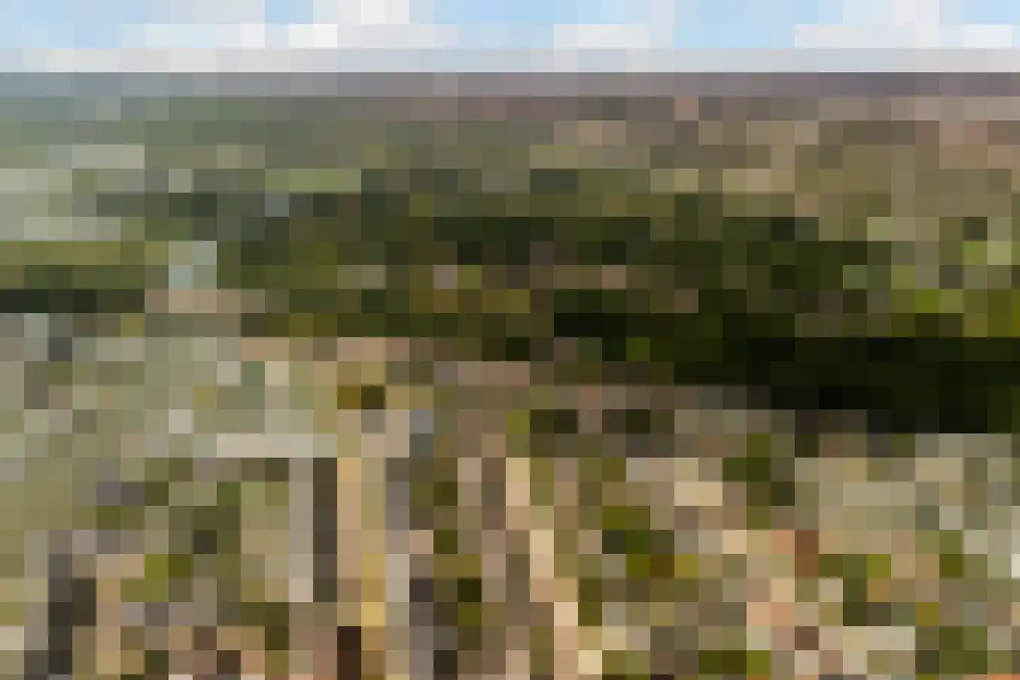 Herenweg 29 Warmond thumbnail 77