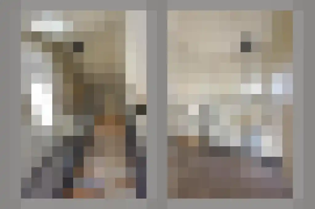 Herenweg 298 E Wilnis thumbnail 6