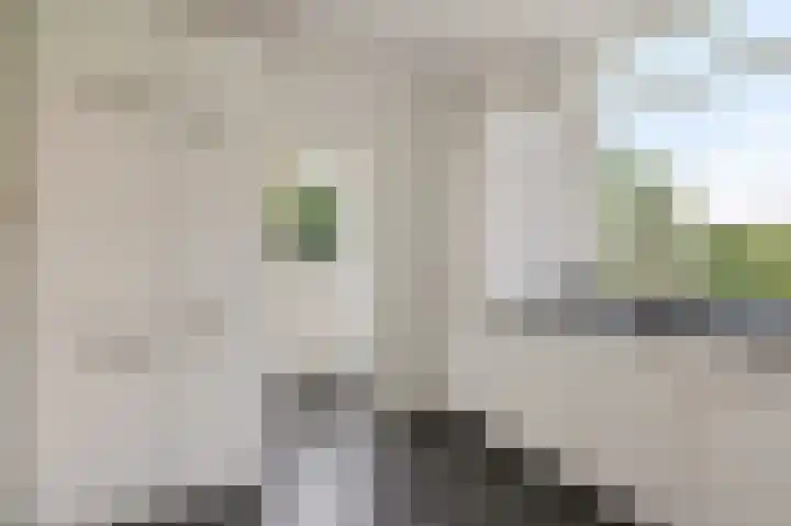 Herenweg 3 Noordwijkerhout thumbnail 7