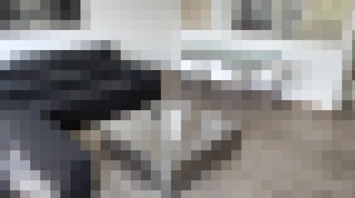 Herenweg 31 Utrecht thumbnail 4