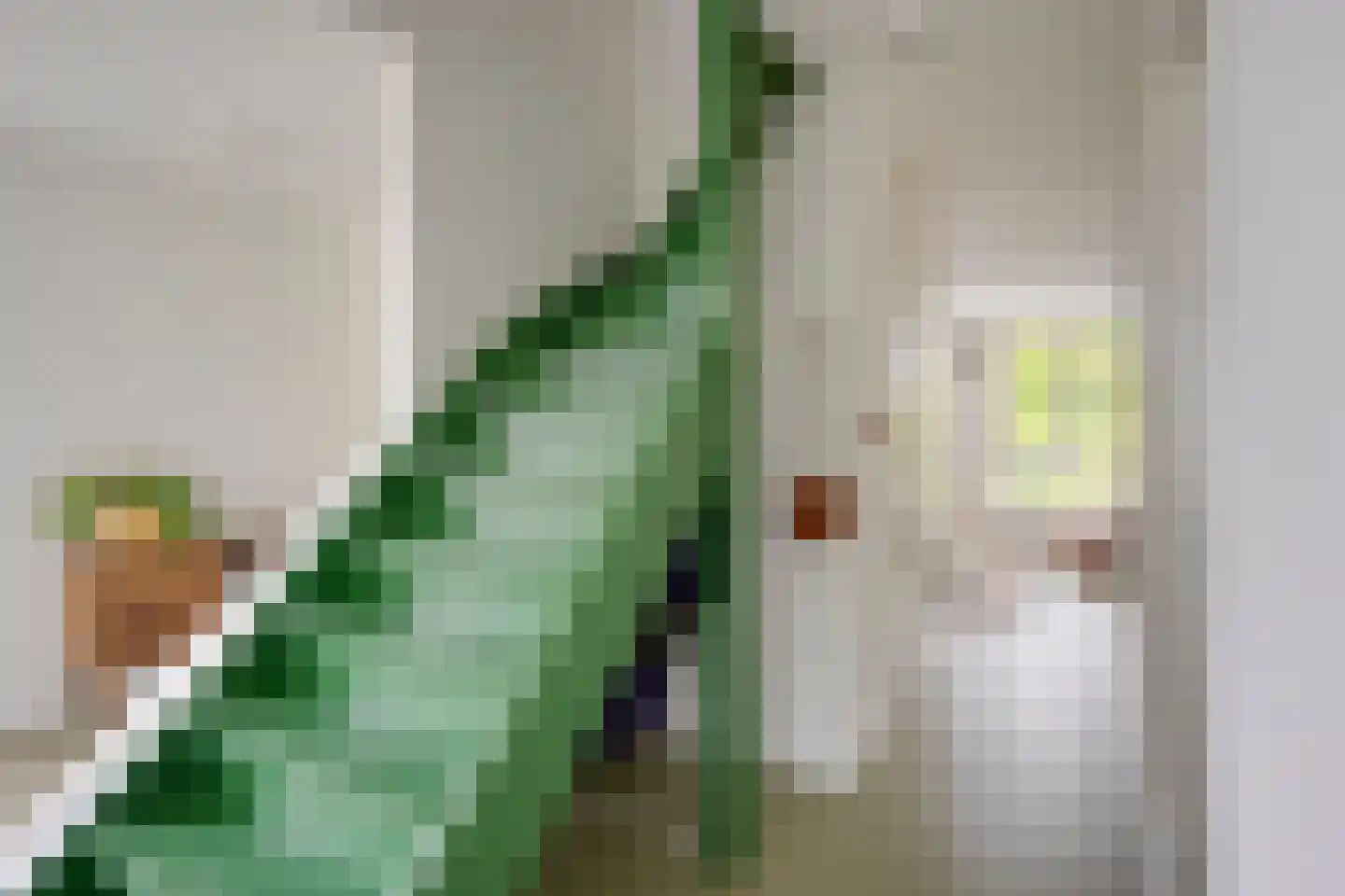 Herenweg 317 Utrecht thumbnail 22