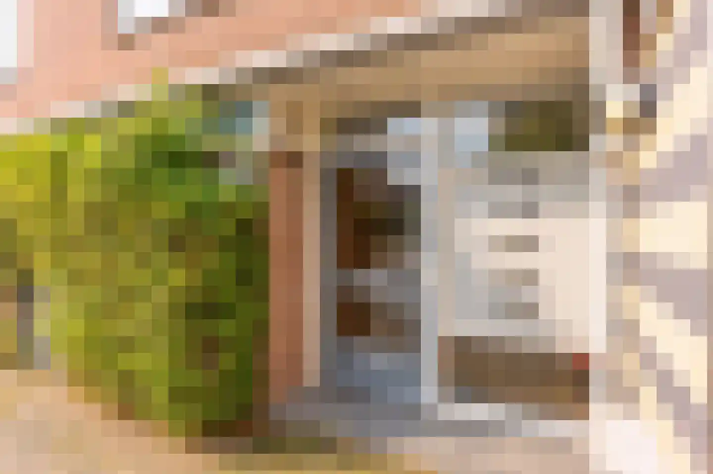 Herenweg 317 Utrecht thumbnail 4