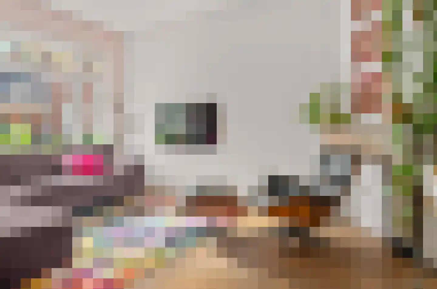 Herenweg 32 Utrecht thumbnail 5