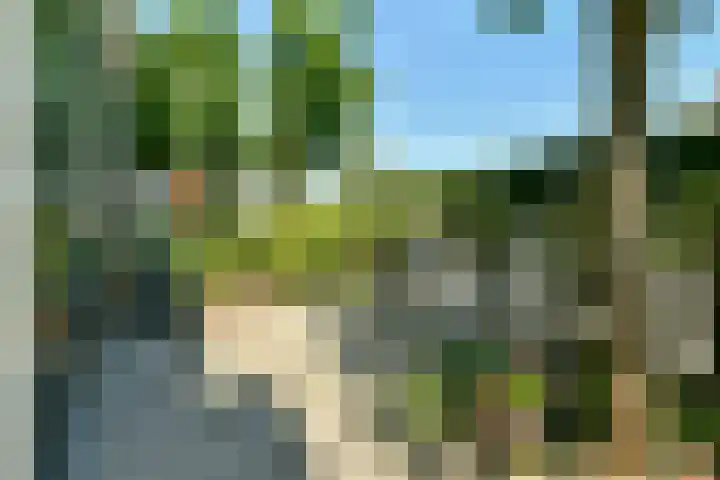 Herenweg 33 Vinkeveen thumbnail 6