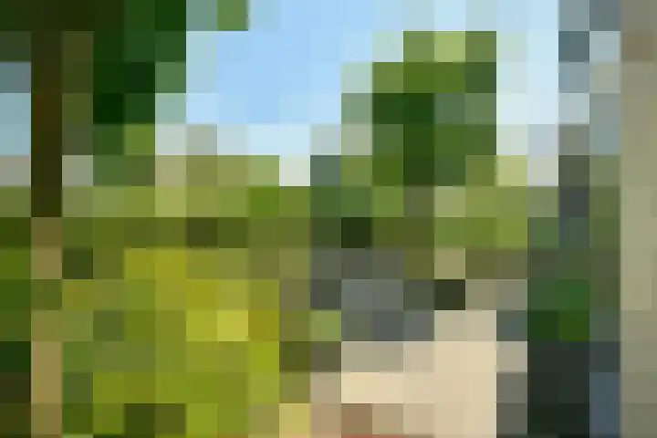 Herenweg 33 Vinkeveen thumbnail 7
