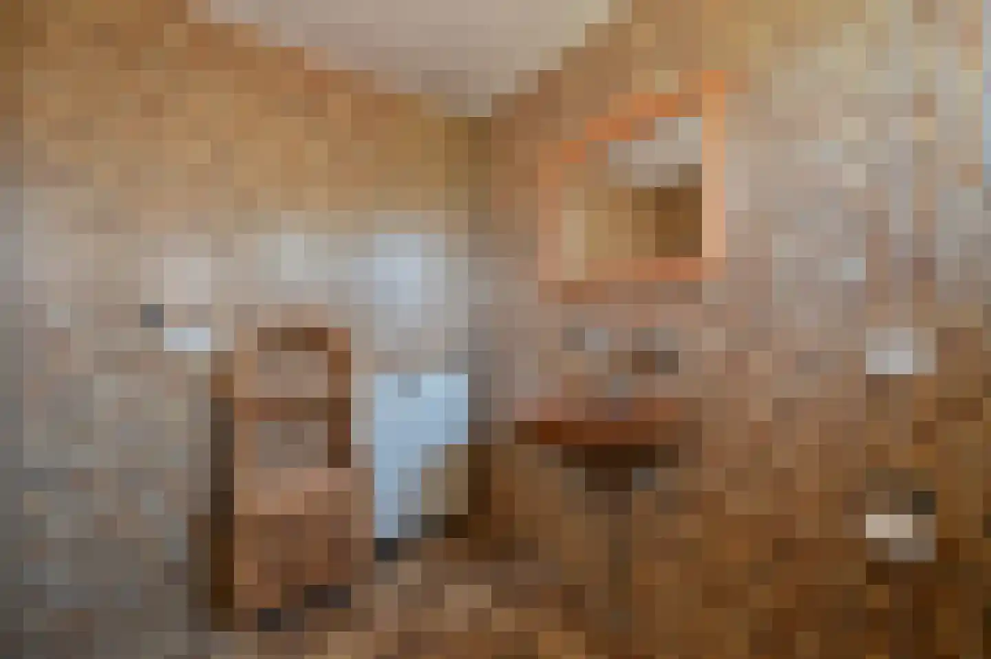 Herenweg 37 Wilnis thumbnail 11