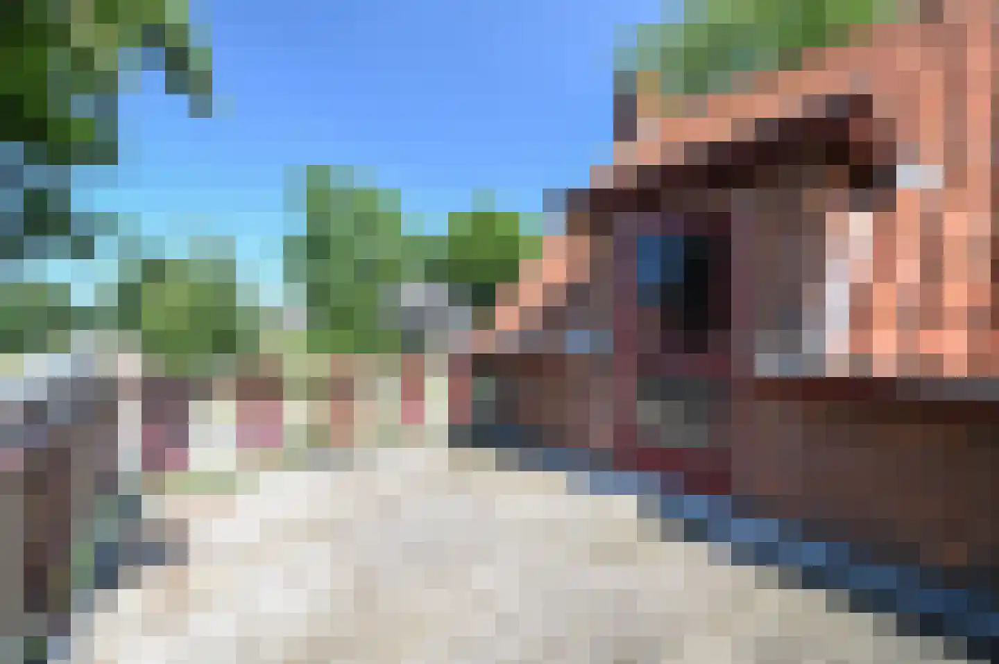 Herenweg 37 Wilnis thumbnail 18