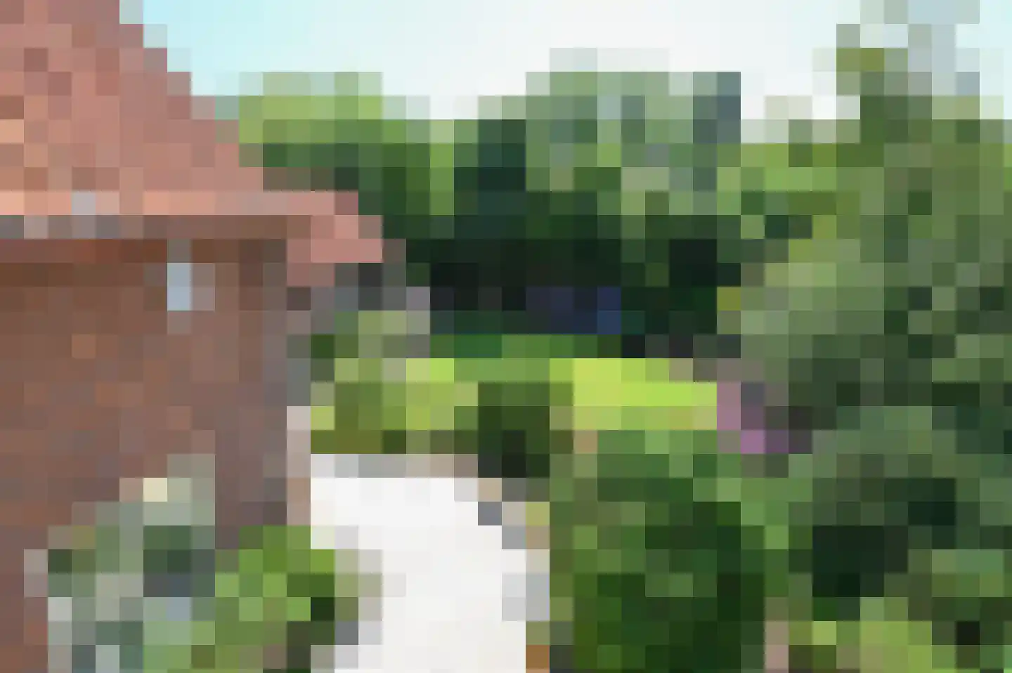 Herenweg 37 Wilnis thumbnail 19