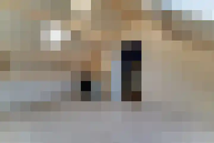 Herenweg 39 c Spanbroek thumbnail 38
